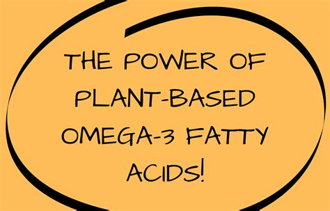 plant based omega 3 fatty acids.